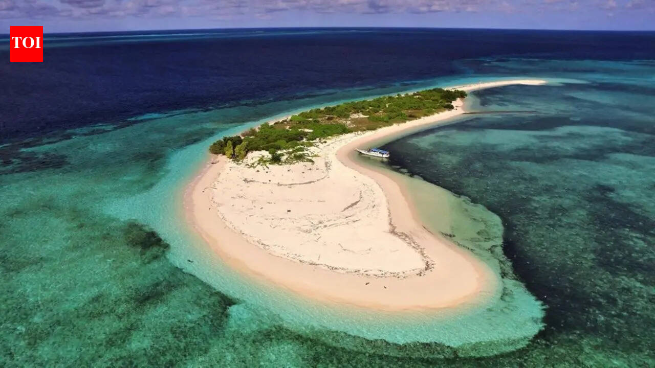 10 largest island countries in the world: Indonesia, Japan, Papua New Guinea among the biggest island nations | World News