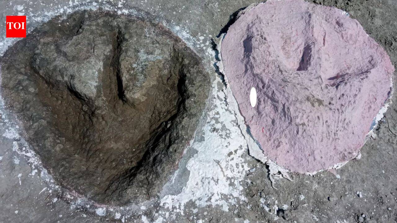 166-million-year-old Jurassic dinosaur highway discovered beneath a British quarry | World News