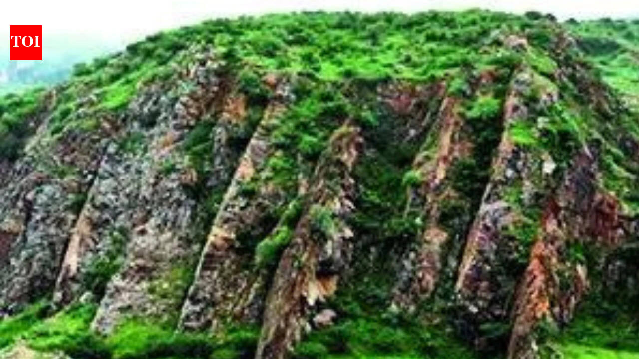 Aravali safeguard NCZ set to stay in NCR Plan 2041 after years of debate | India News