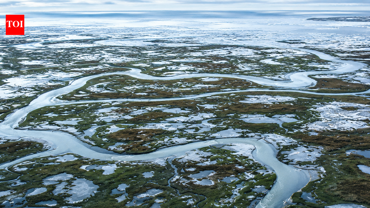 Arctic alarm: Earth’s frozen carbon stores in the Arctic may stop absorbing CO2 and start releasing it by the 2050s |