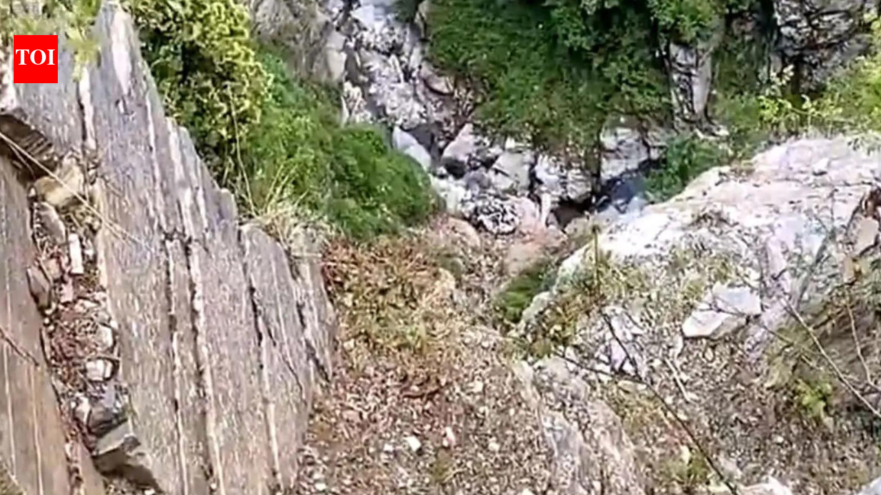 Army officer dies after falling into gorge during anti-terror operation in J&K’s Rajouri | India News