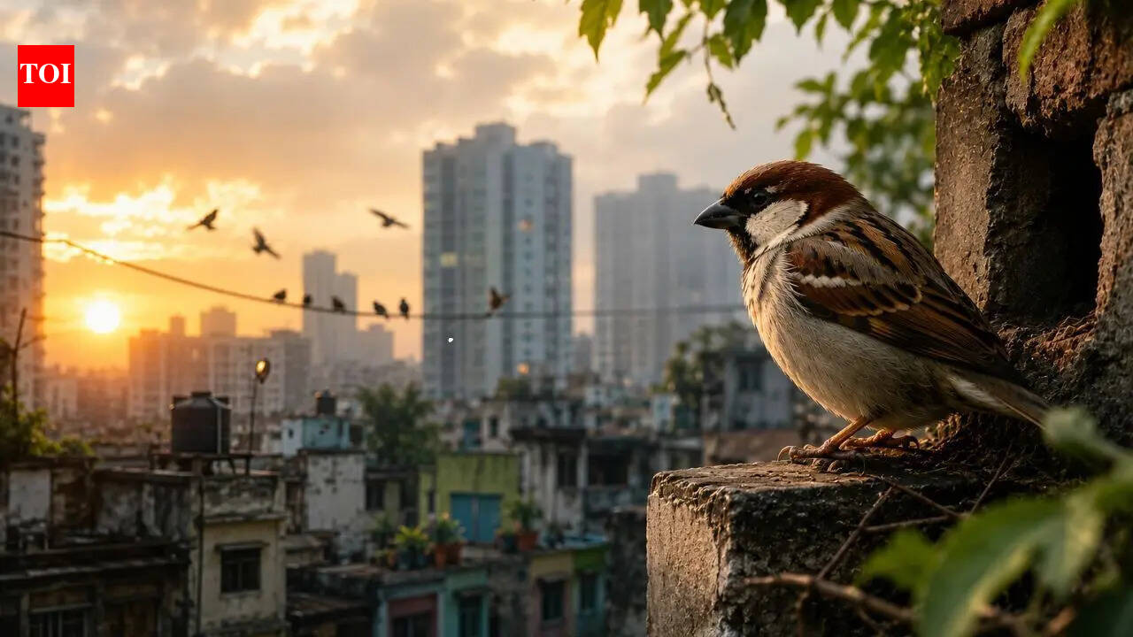 Bringing Back the Chirping Sparrow: Reviving Our Urban Ecosystem | India News