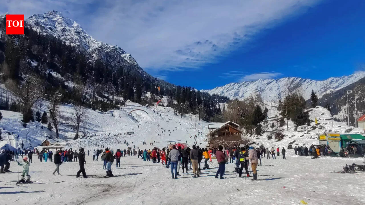 Can AI plan a cheaper vacation than a travel agent? | India News
