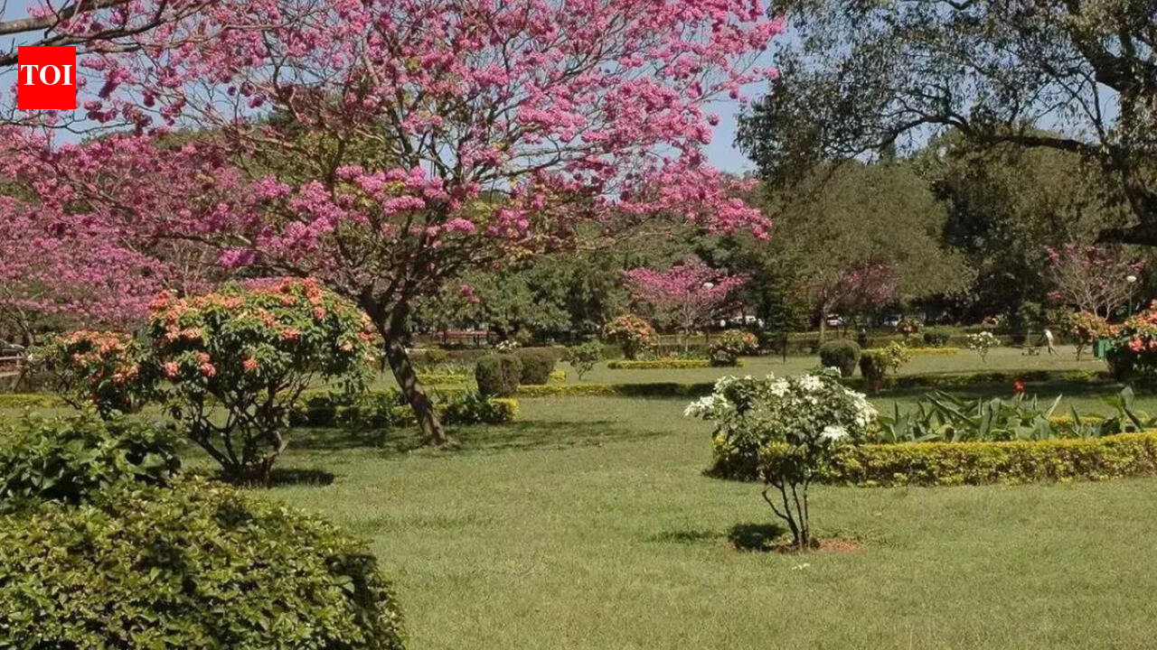 Canadian man settles in India with wife’s family: Cost of living way lower than Toronto, lost 14lbs in 5 months