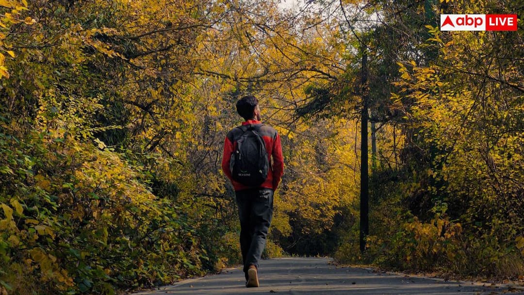 Daily Walking Distance: एक दिन में कितने किलोमीटर चलना होता है ठीक, इससे ज्यादा चले तो कितना खतरा?