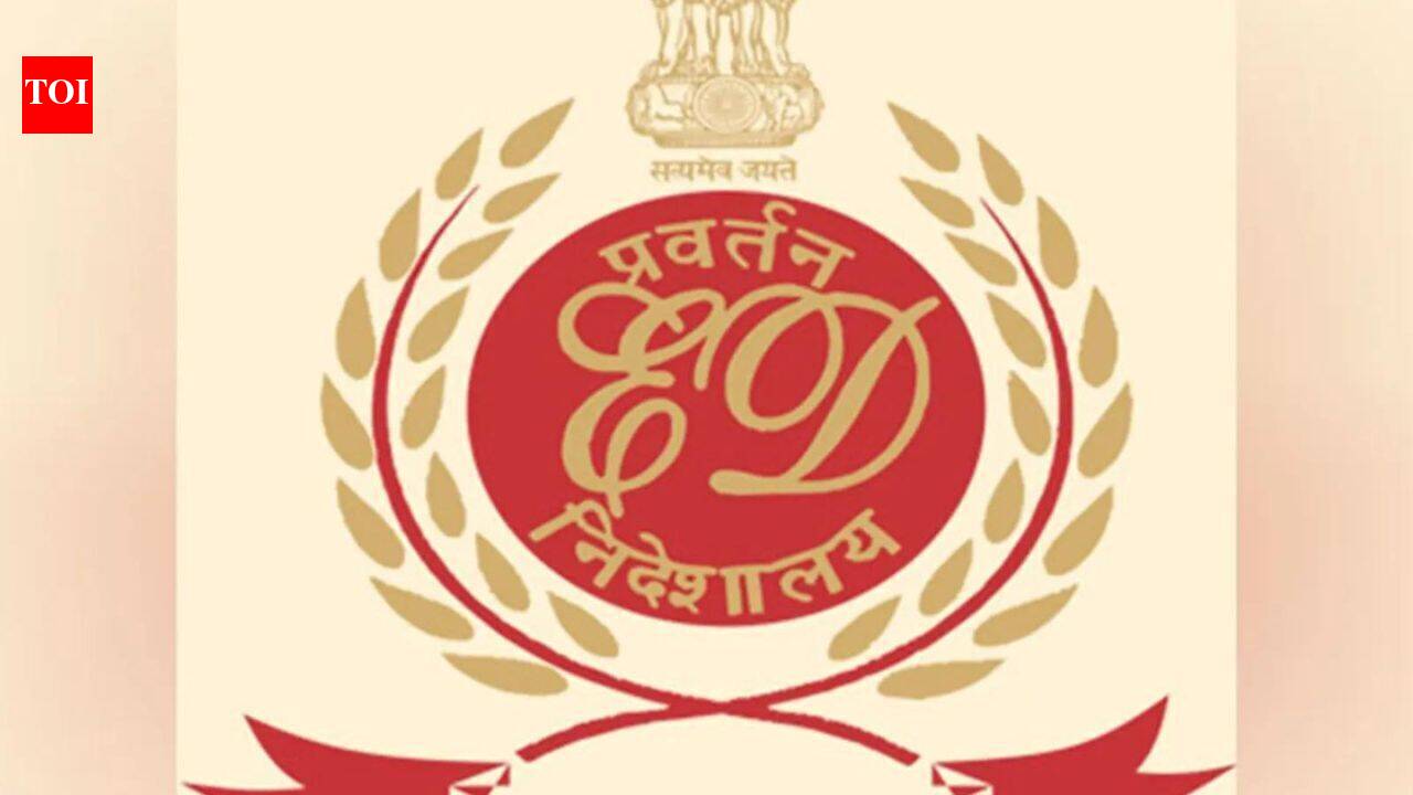 ED: Rajesh Exports probe revealed 3k crore trade set-offs | India News