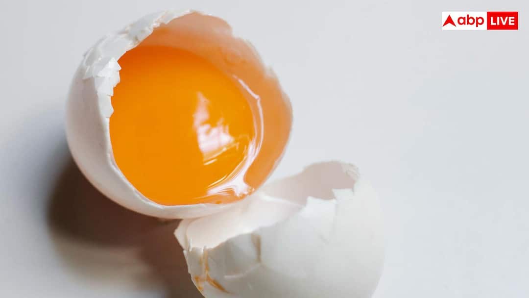 Egg Yolk Good Or Bad: किन लोगों को नहीं खाना चाहिए अंडे की जर्दी, जानें इससे क्या हो सकता है नुकसान?