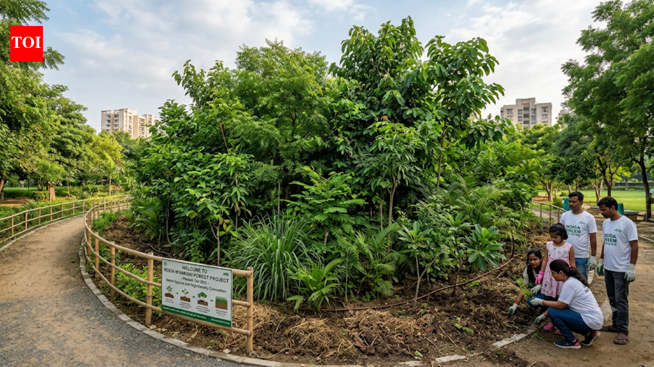 From Tokyo to Delhi: How fast growing ‘Miyawaki forests’ are reshaping urban landscapes worldwide |