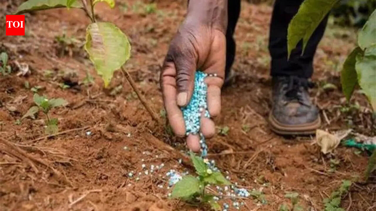 Government cuts Kharif fertiliser demand estimate on weak monsoon outlook | India News