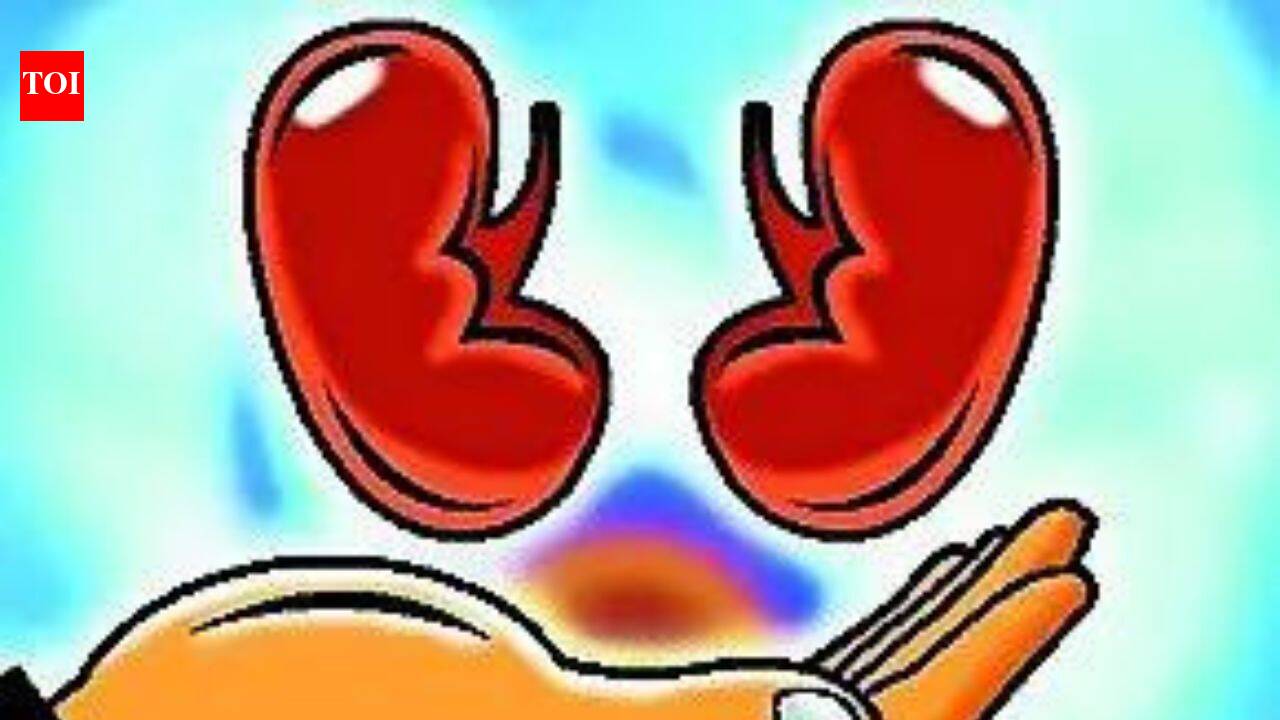 Hospitals told to make public their kidney transplant success rate | India News