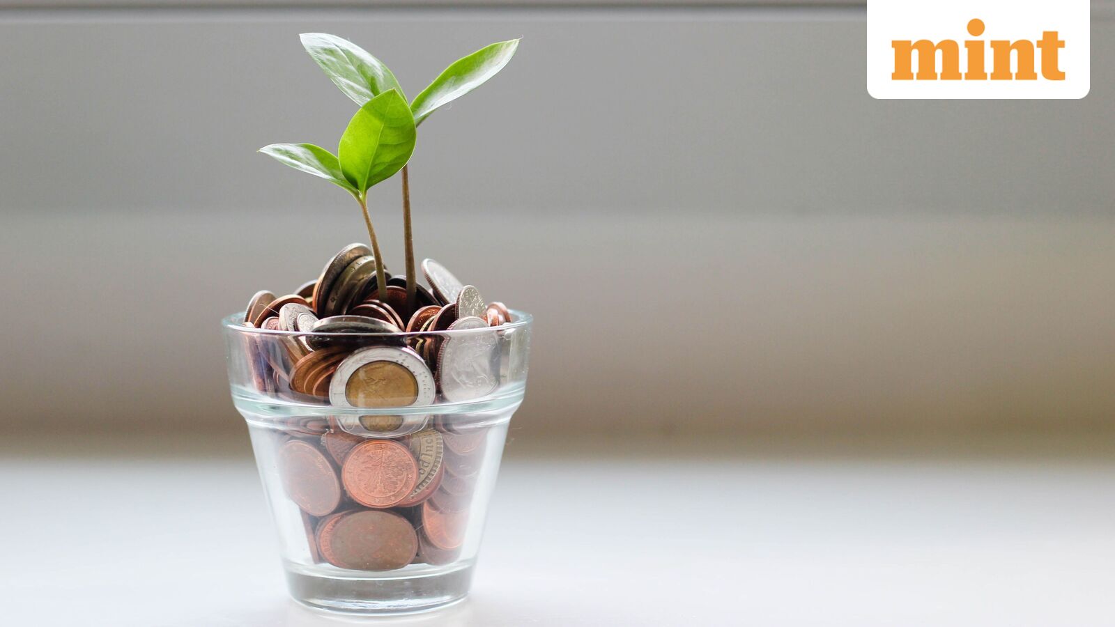 How to spot personal loan scams and protect your money with these 5 essential safety tips