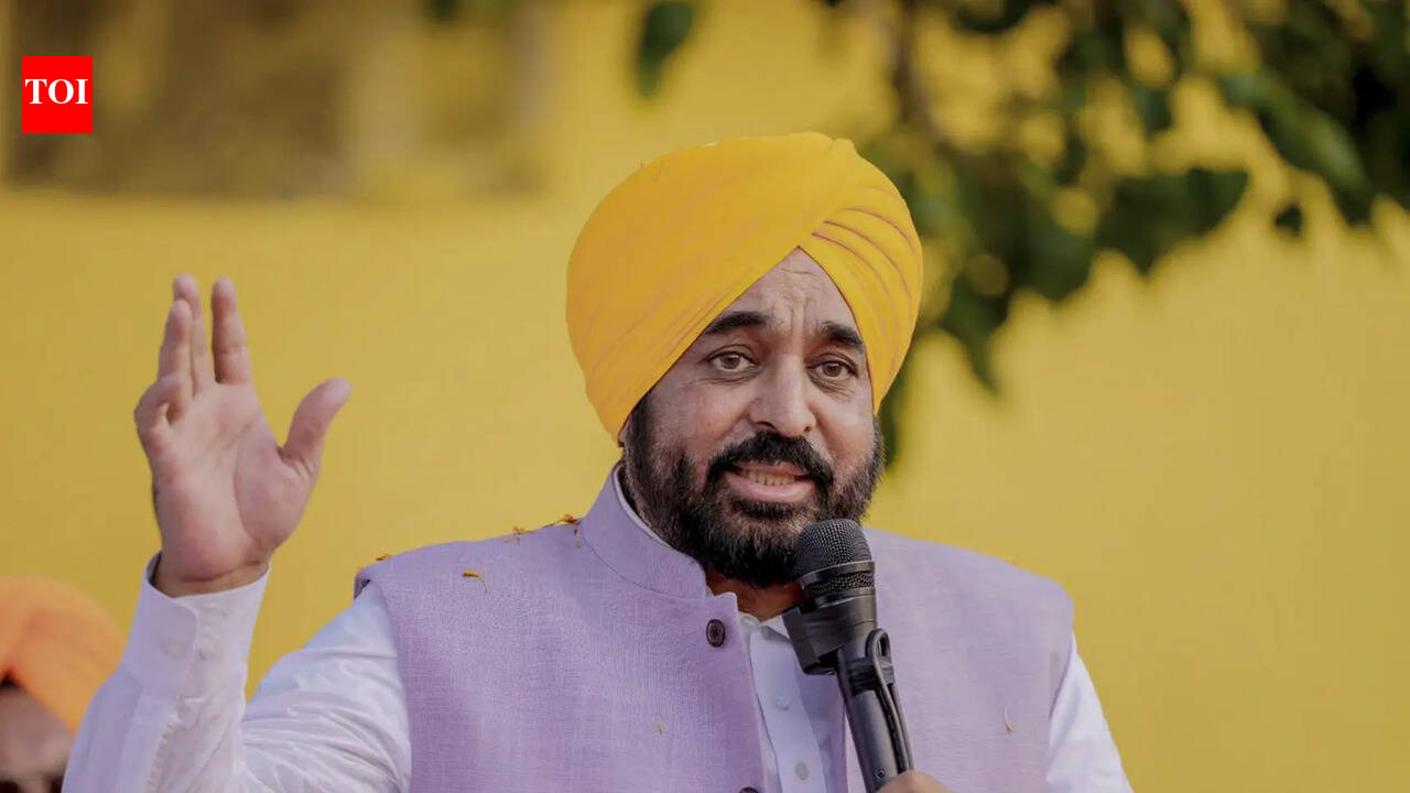 ‘Impostor wearing my mask’: Bhagwant Mann sticks to ‘not me’ stand in viral ‘sacrilege’ video row | India News