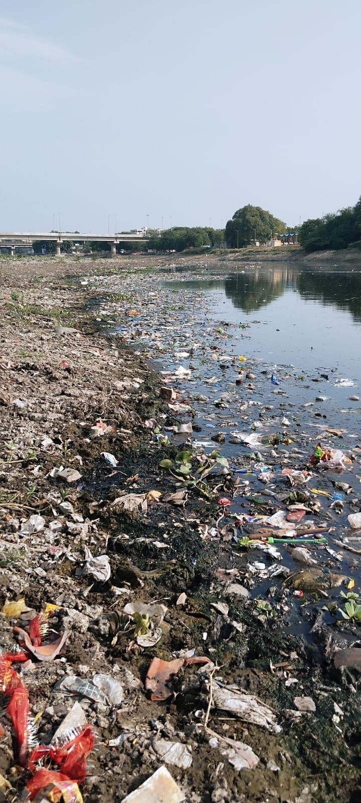 Lucknow News: खुले नाले, गोमती के तली में जमी गाद और लचर एसटीपी व्यवस्था बनी गोमती की दुश्मन