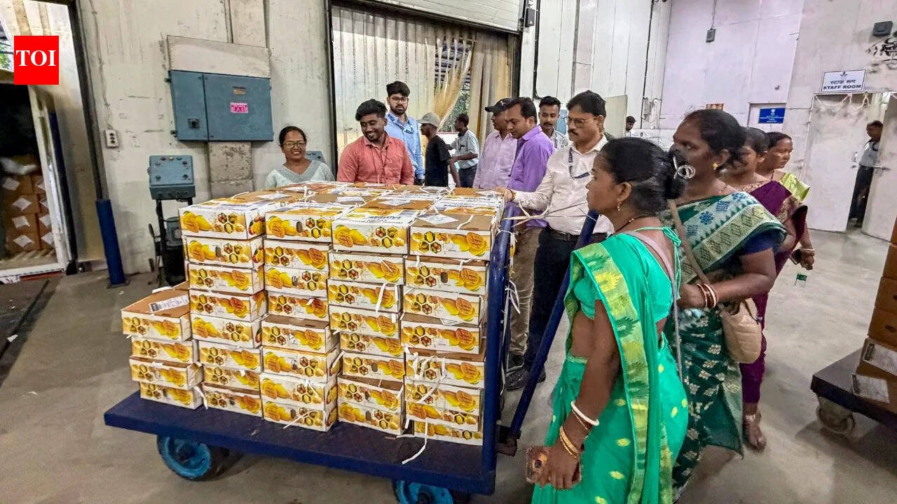 ‘No ban’: Nepal denies any restrictions on Indian mango imports | India News