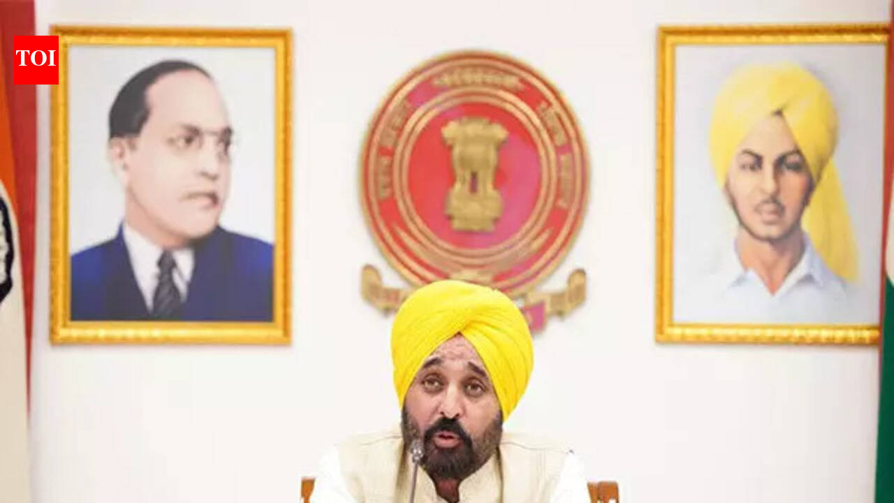 No paper leak in Punjab since 2022, students got opportunities based on merit: Mann | India News