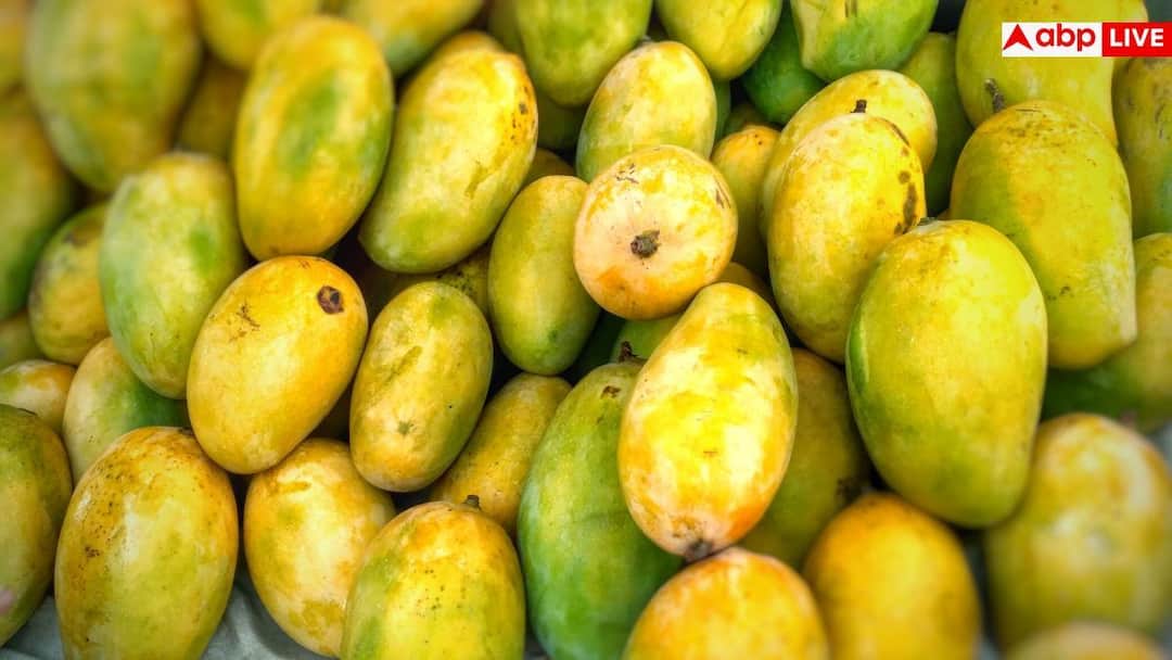 Rotten Mangoes: सावधान! मार्केट में बिक रहा सड़े और कीड़ों वाले आम का जूस, हो सकती है ये गंभीर बीमारी