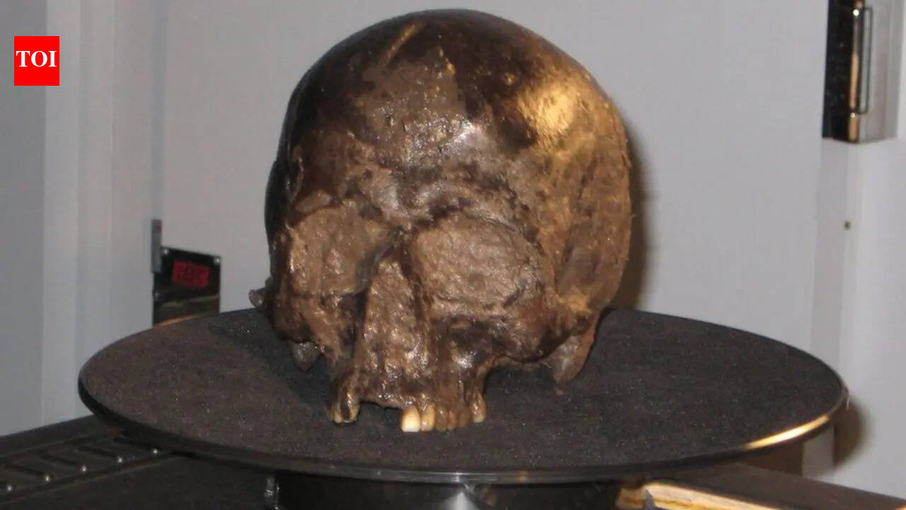 Scientists found a 2,600-year-old brain inside an Iron Age skull and it was still intact |