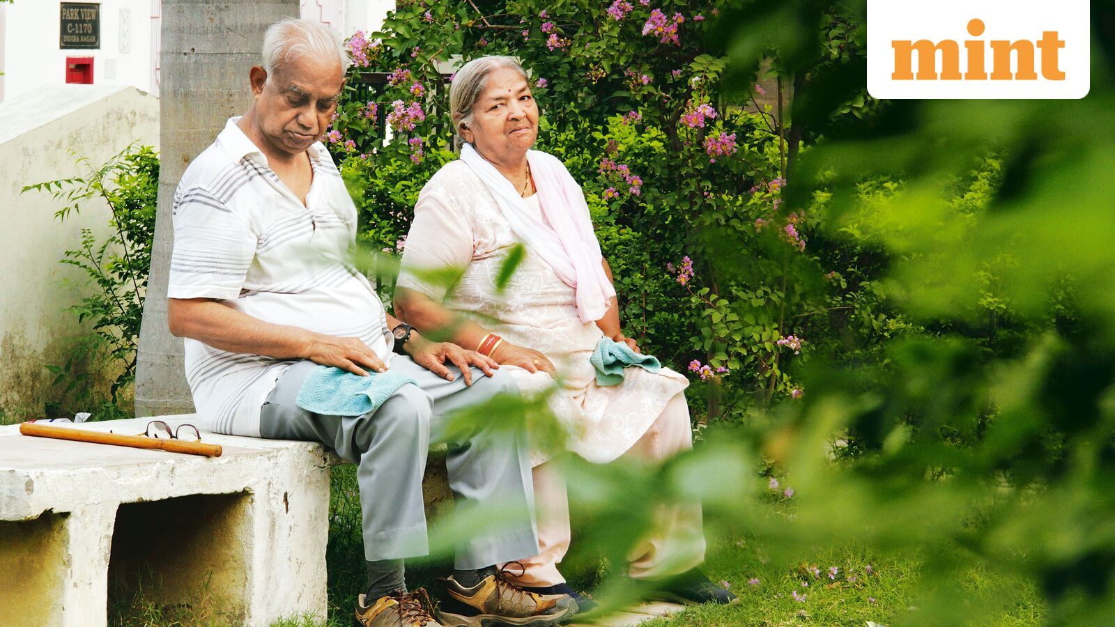 Senior Citizens Savings Scheme at 8.2%: Couples earn ₹5 lakh annually on ₹60 lakh investment | Top FAQs answered