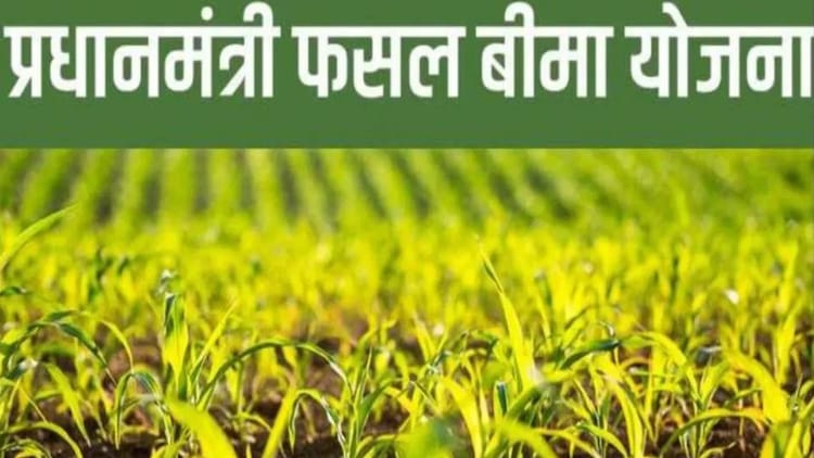 Up News:रबी-खरीफ सीजन में 1.63 लाख फसल बीमा आवेदन मिले फर्जी, जारी की गई चेतावनी – 1.63 Lakh Crop Insurance Applications Found To Be Fake During Rabi-kharif Season In Up Warning Issued