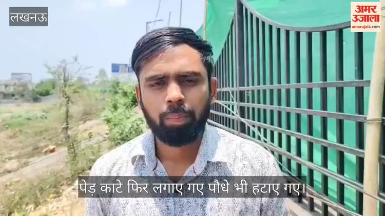 VIDEO : 1090 चौराहे लोहिया पथ के किनारे लगे 35 पेड़ काटे गए, बाद में लगाए गए 450 पौधे भी हटा दिए गए