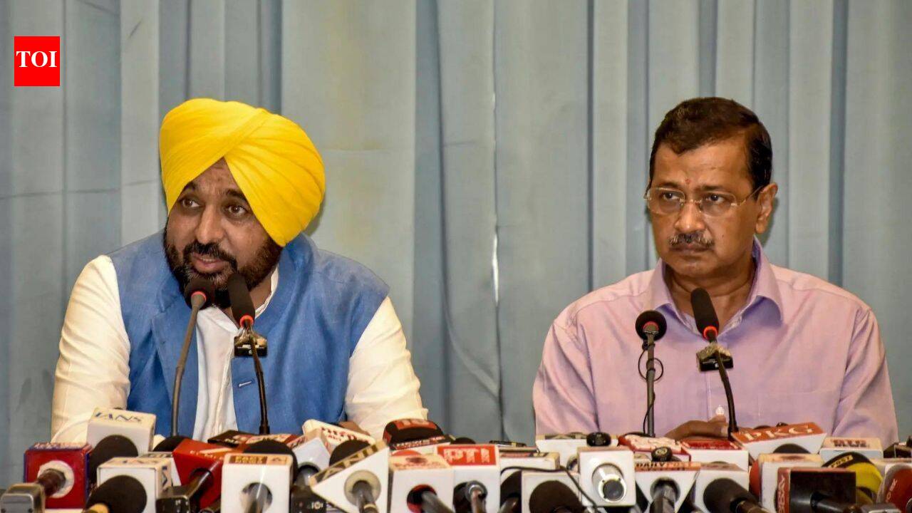 ‘Will send clip, present my side in writing’: Bhagwant Mann ahead of AAP ministers’ June 29 Akal Takht appearance | India News