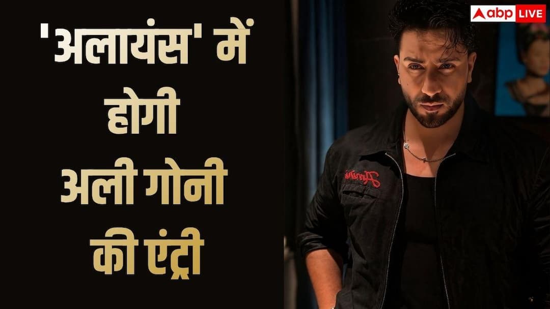 ‘अलायंस’ में होगी अली गोनी की वाइल्ड कार्ड एंट्री, ‘बिग बॉस 14’ के बाद ओटीटी पर मचाने वाले हैं धमाल