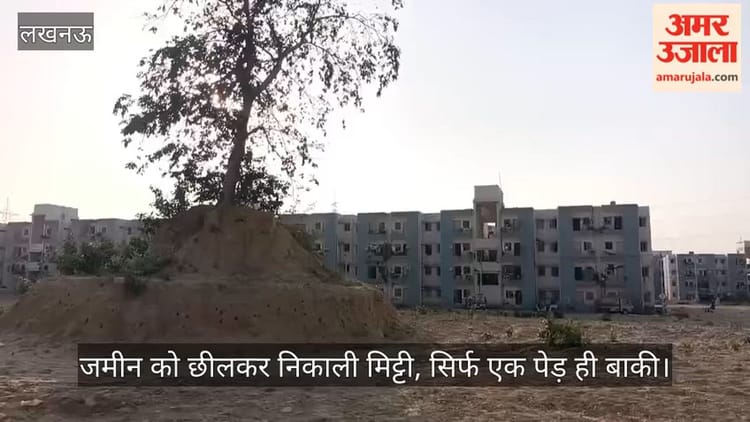 खिसकती जमीन पर बुलंद हरियाली… जमीन को छीलकर निकाली मिट्टी, सिर्फ एक पेड़ ही बाकी