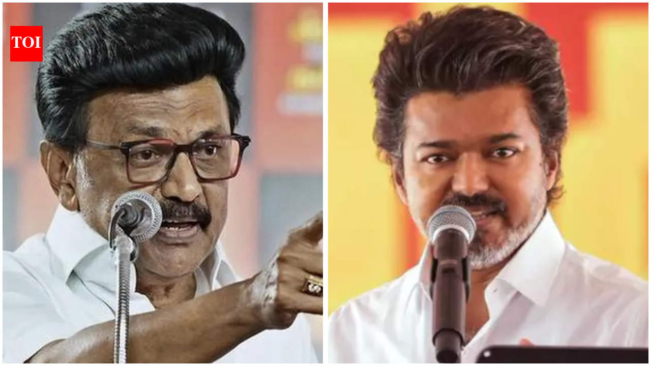 ‘Can it last three months?’ Stalin questions stability of TVK government in Tamil Nadu | India News