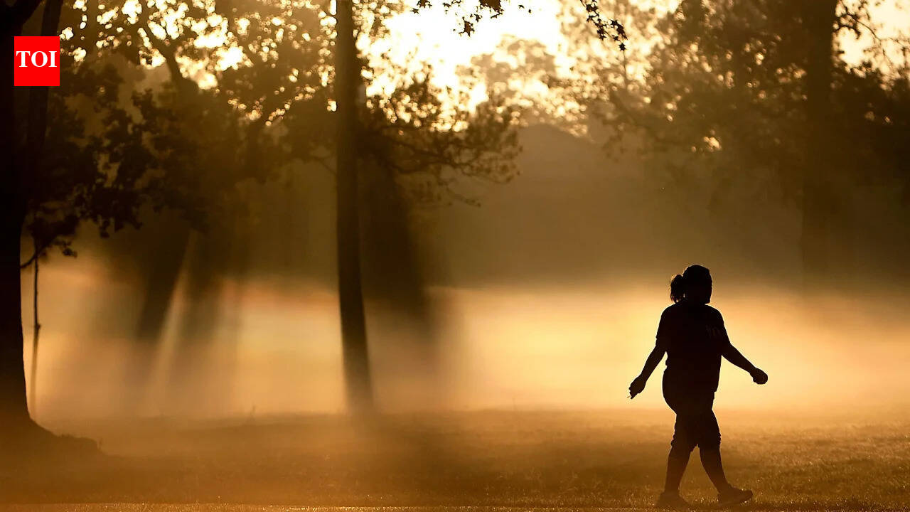 1 in 14 women hit by early menopause in low, middle-income countries: Study | India News