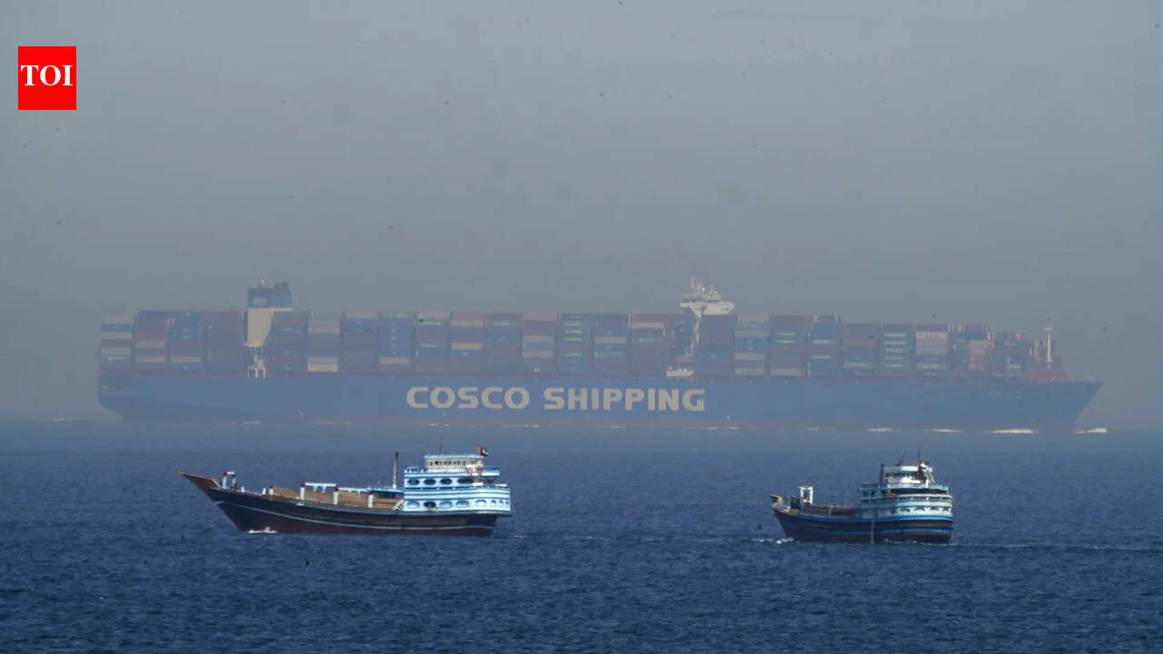 9 Indian ships with over 190 seafarers still near Hormuz | India News