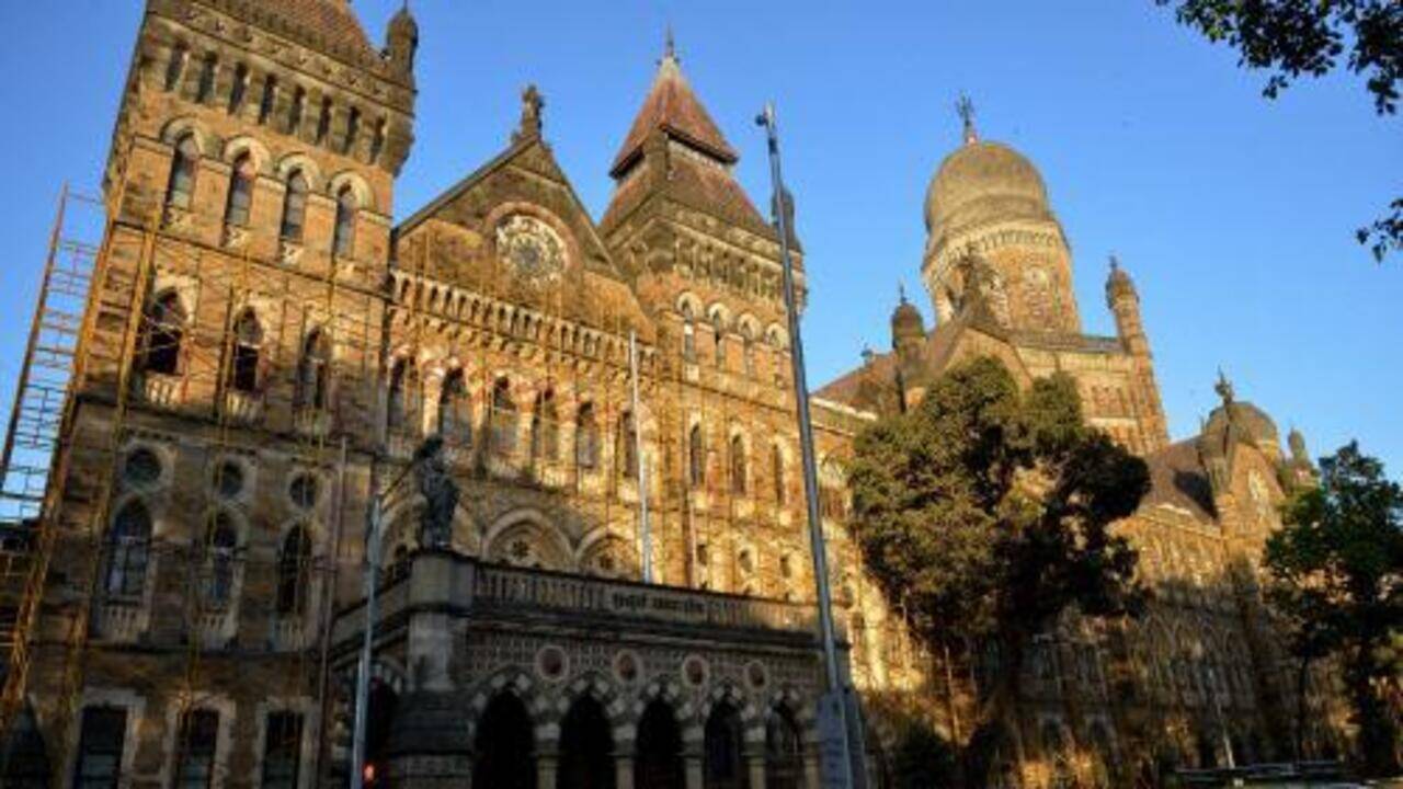 AIMIM, NCP women BMC corporators disqualified over invalid caste certificates | India News
