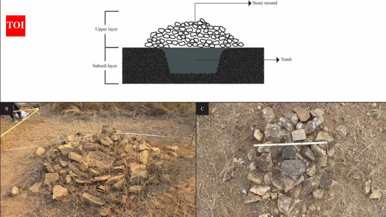Angola: Workers building a dam uncovered stone structures in Angola; archaeologists cleared landmines and raced to excavate 15th-century burials before the site vanished