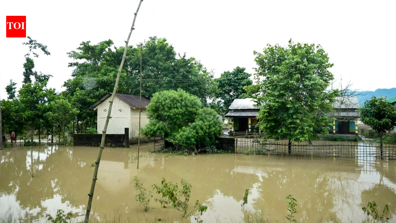 Assam floods worsen, nearly 50,000 affected across four districts | India News