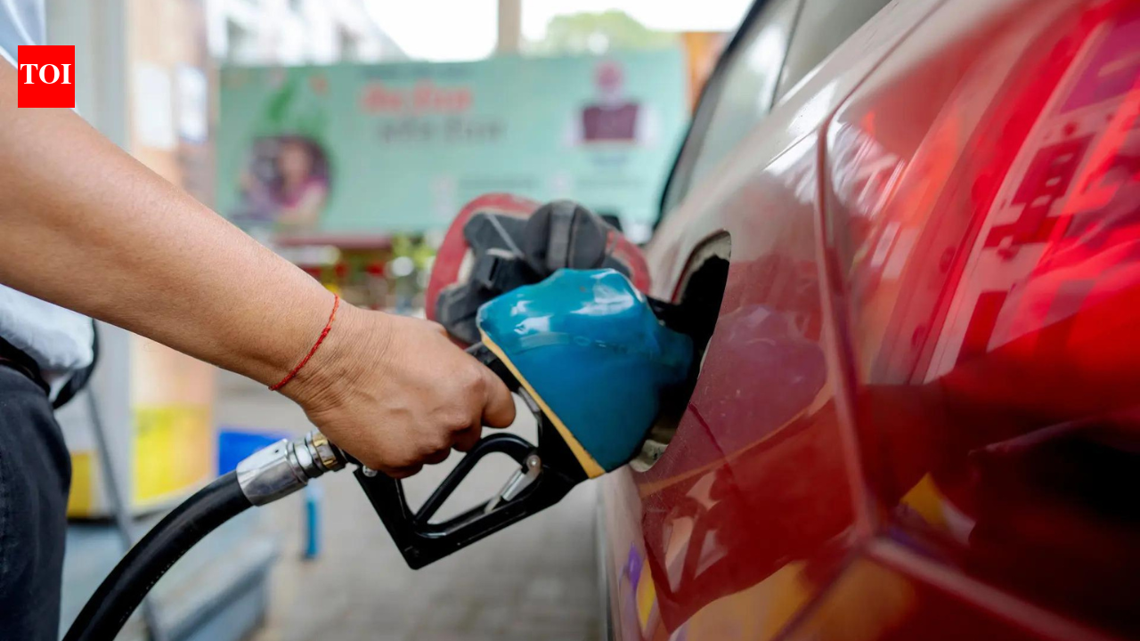 Carmakers on E20: No engine damage, but mileage drops | India News