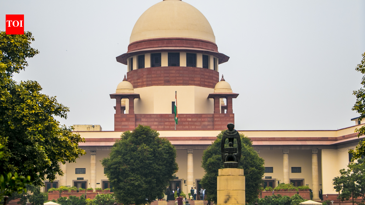 Delhi high court order has crippled consular, visa services at 4 missions: Govt to Supreme Court | India News