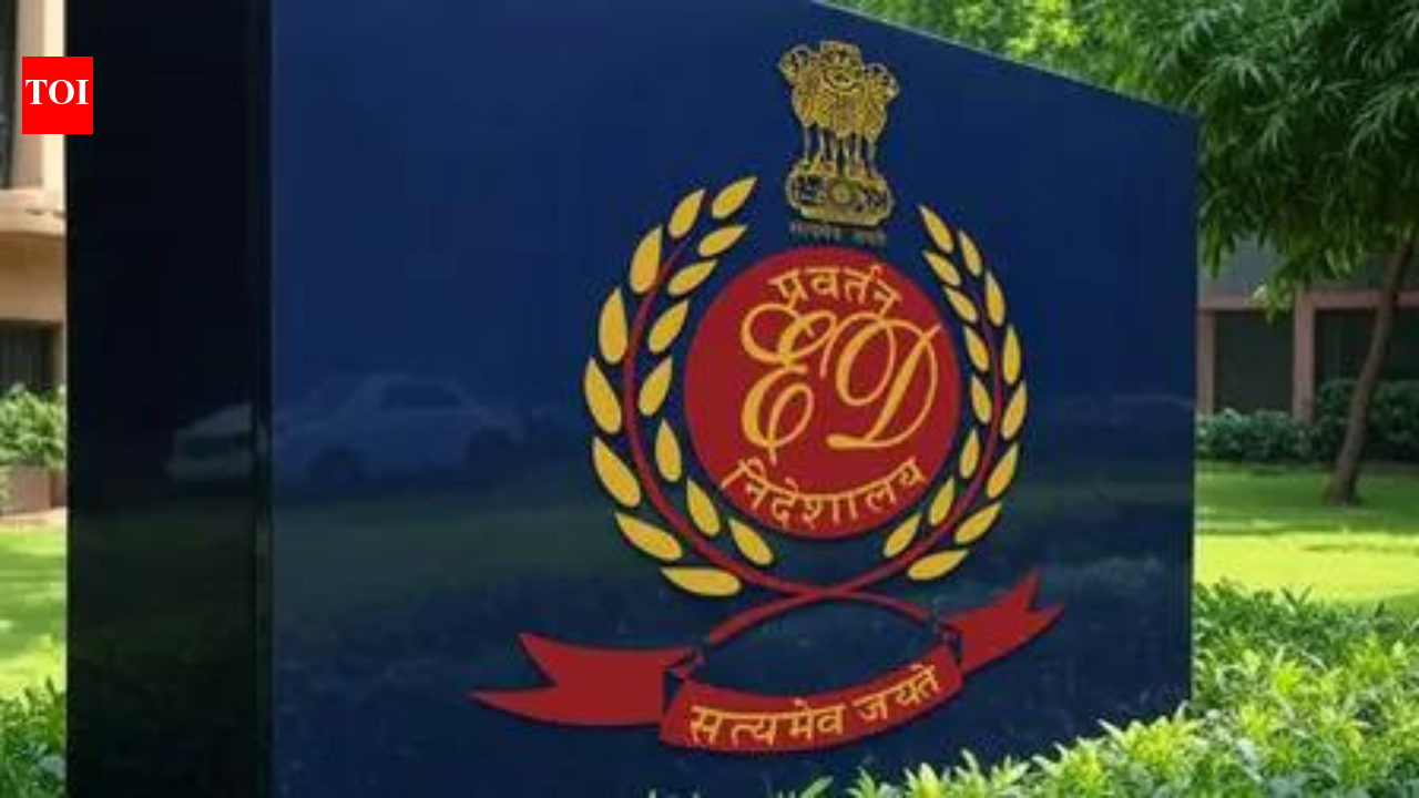 ED auctions for Rs 3 crore Hawker aircraft seized in ponzi case | India News