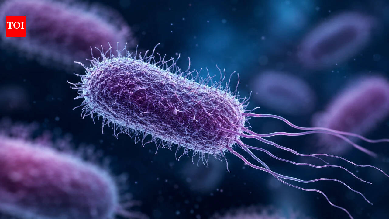 Global AMR Fund picks 12 Indian innovations to tackle antibiotic resistance in environment | India News