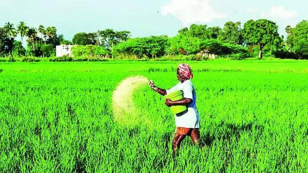 Global urea prices ease after May spike, fall 40% in June | India News