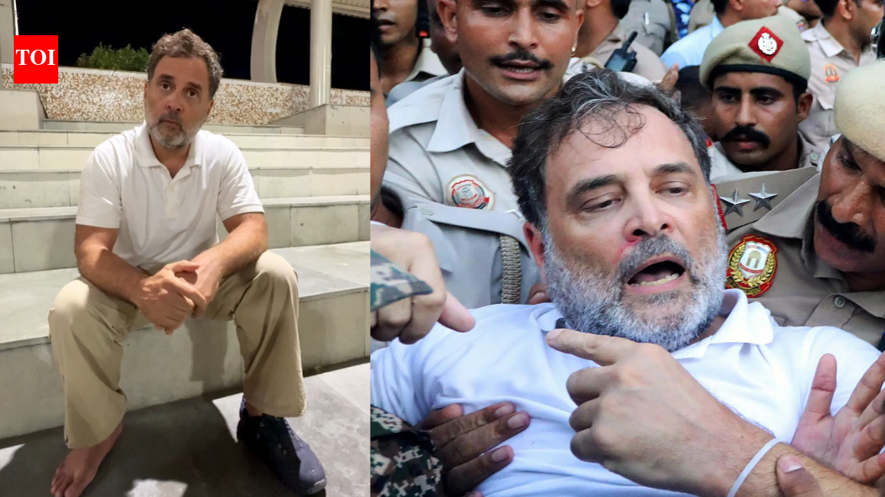 ‘Government had no interest in debate’: Rahul Gandhi on why Congress protested outside PM’s residence | India News