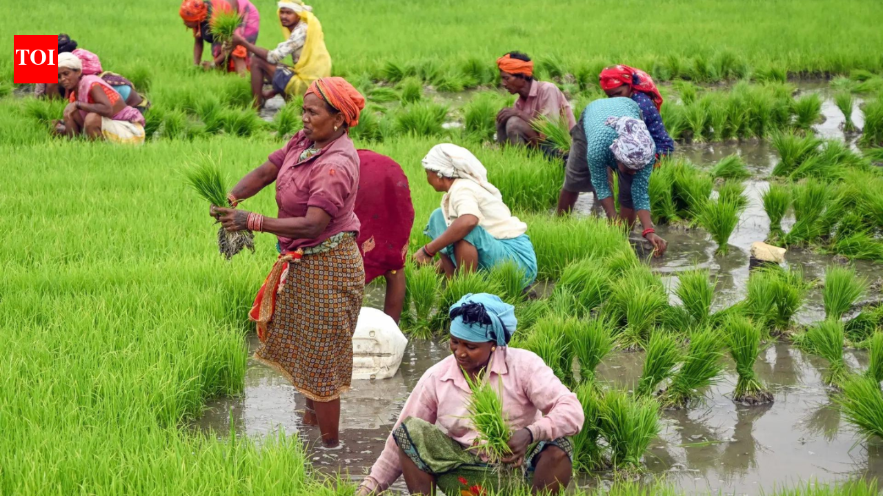 Govt extends PM-Kisan yojana | India News