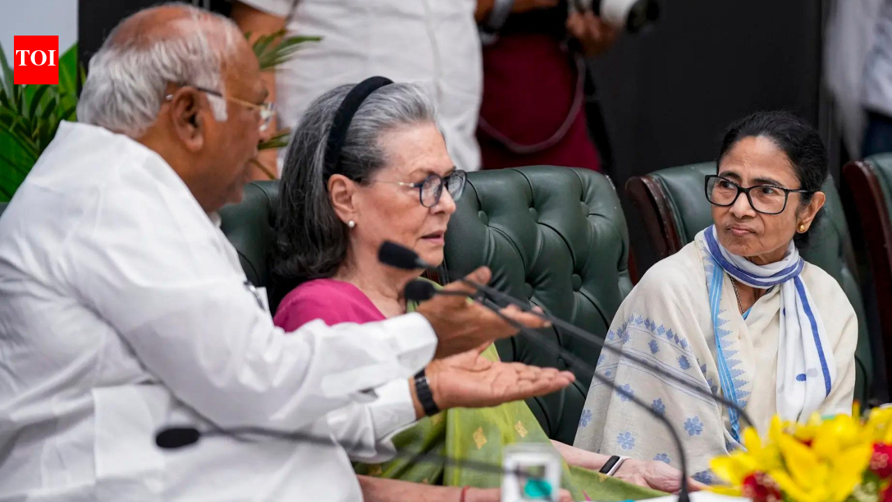 Govt fixing polls with EC’s help: INDIA bloc to CJI | India News