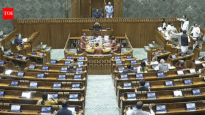 ‘In favour of the Women’s Reservation Bill but…’: DMK presses Centre on delimitation | India News