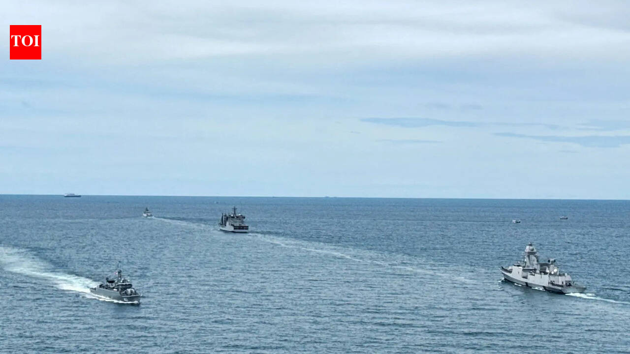 Indian Navy foils piracy bid in Gulf of Aden; MARCOS secure cargo ship carrying critical consignment for India | India News