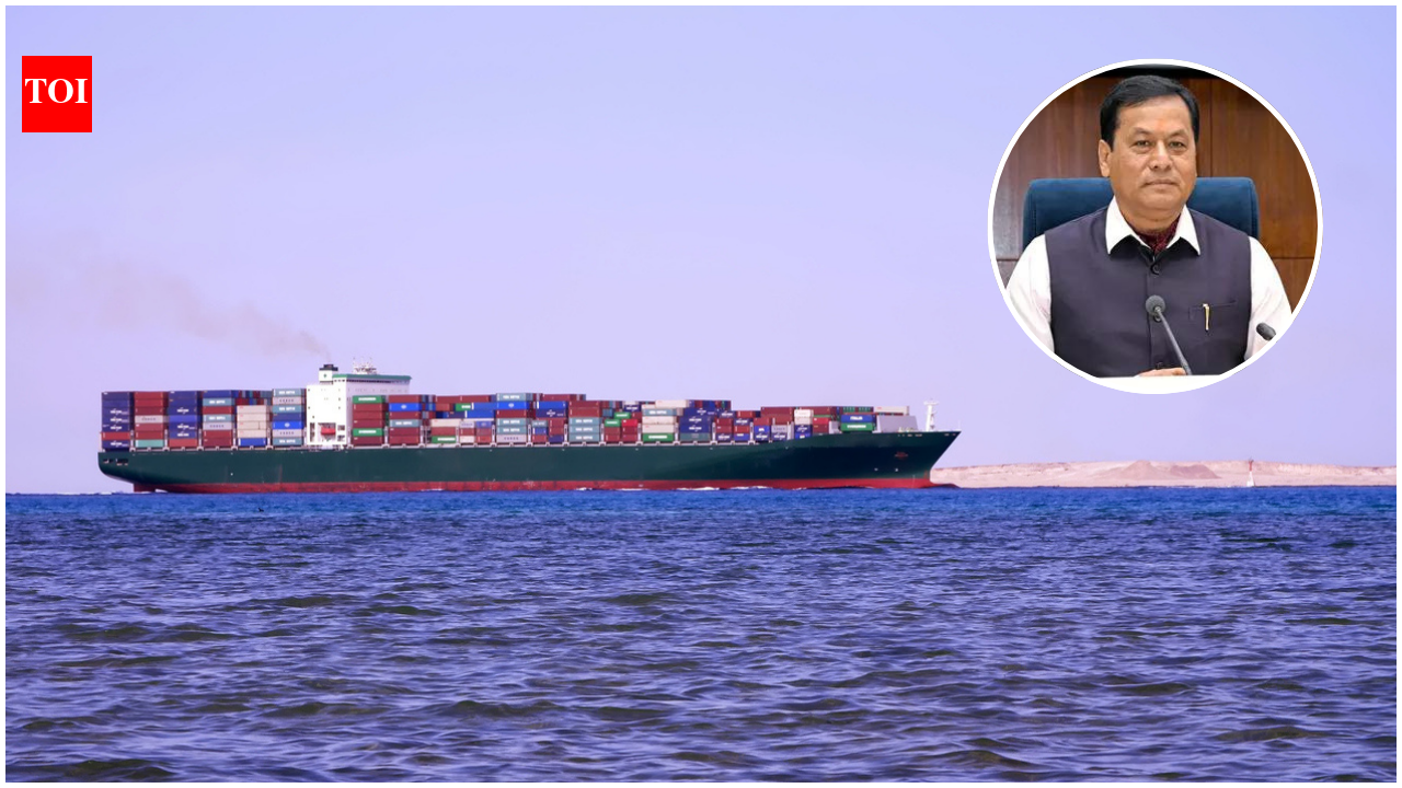 Indian Seafarers Safety: ‘Every possible measure must be taken’: Shipping minister Sarbananda Sonowal says no Indian seafarer should be caught in crossfire | India News