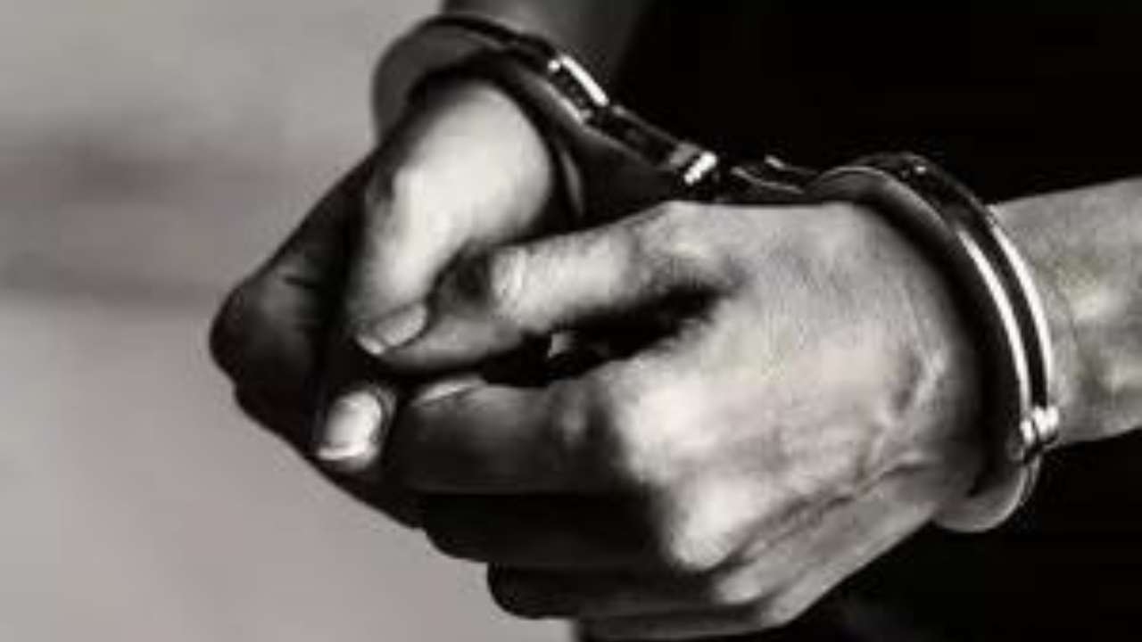 Israeli man held with ‘narcotics’ in Ladakh’s Zanskar | India News