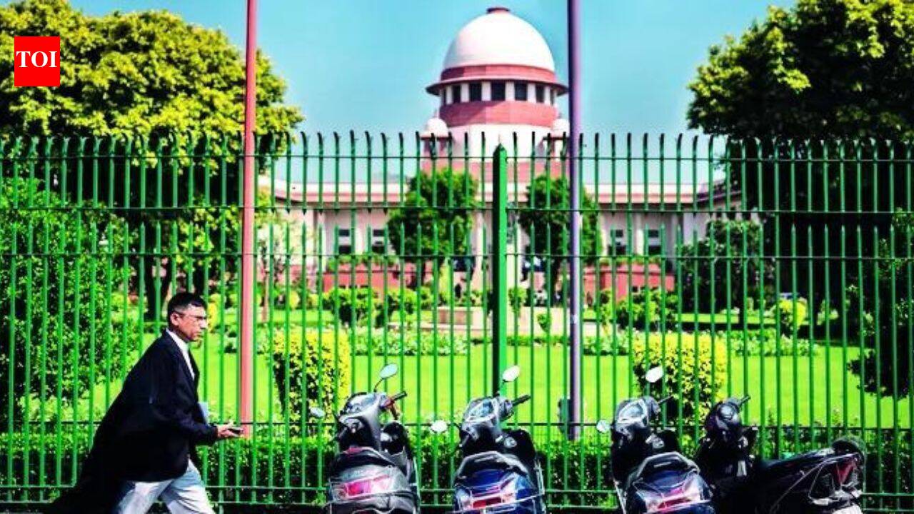 Karur stampede case: SC to hear plea alleging TVK ministers ‘influencing’ witnesses | India News