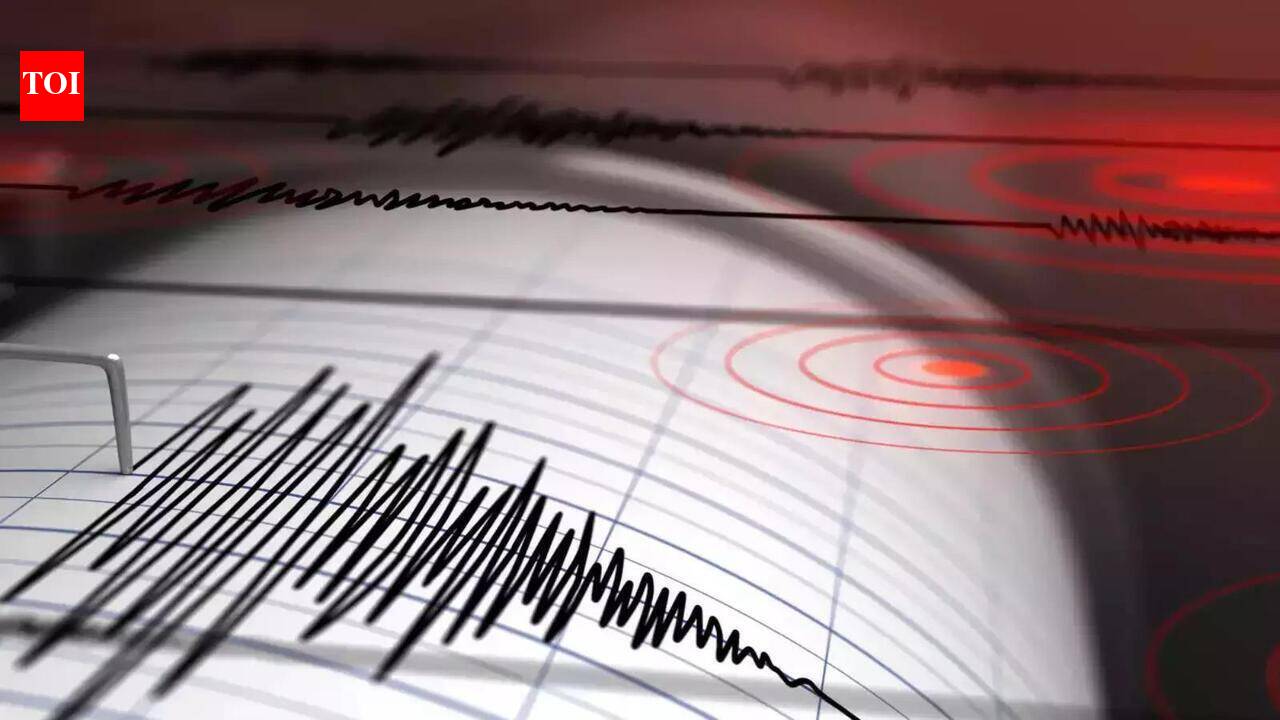 Maharashtra: Multiple tremors shake Nanded, Hingoli and Parbhani | India News