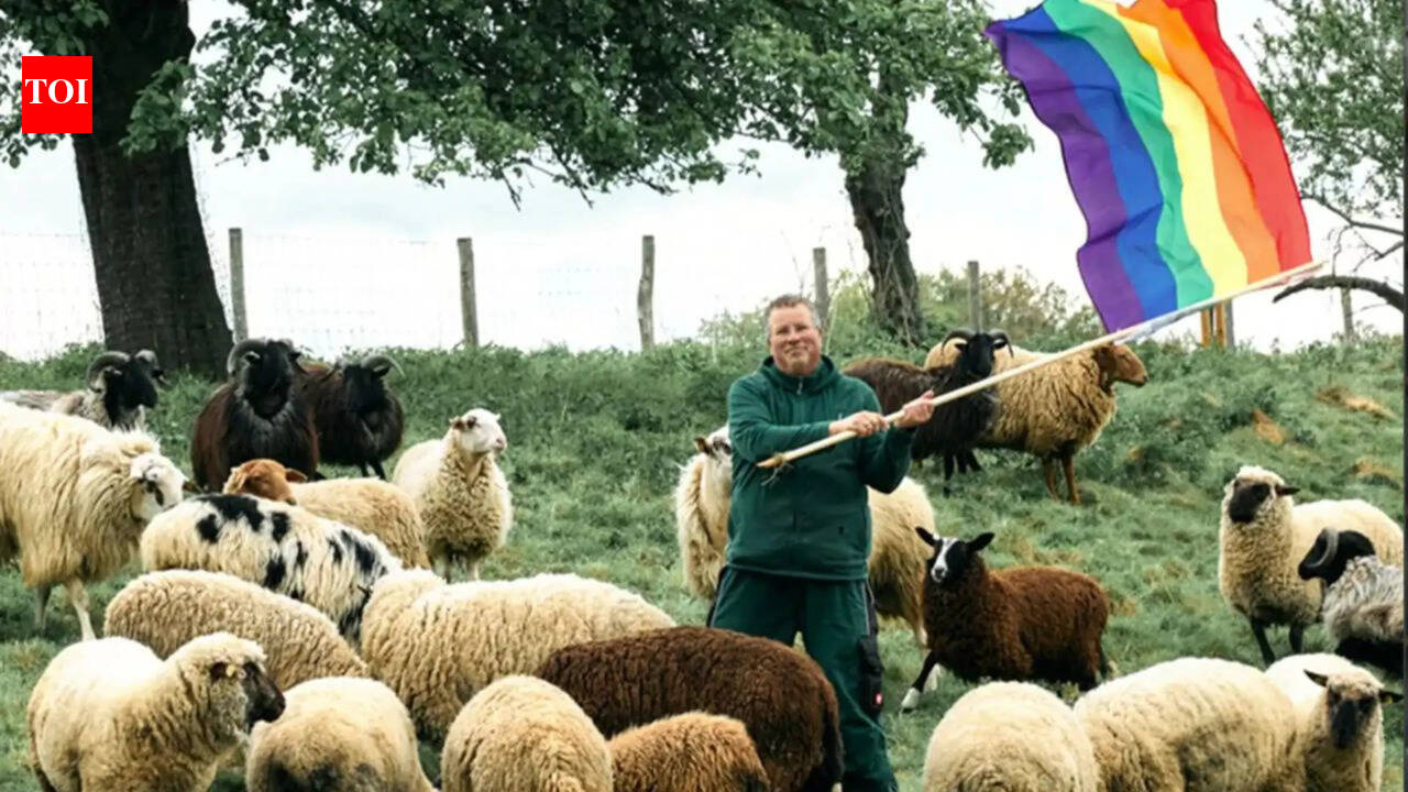 Meet Michael Stucke: German farmer who saves ‘gay’ sheep from slaughter and uses proceeds to help people flee homophobic persecution | World News