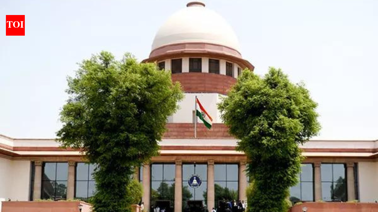 No default bail if chargesheet filed but not provided to accused: Supreme Court | India News