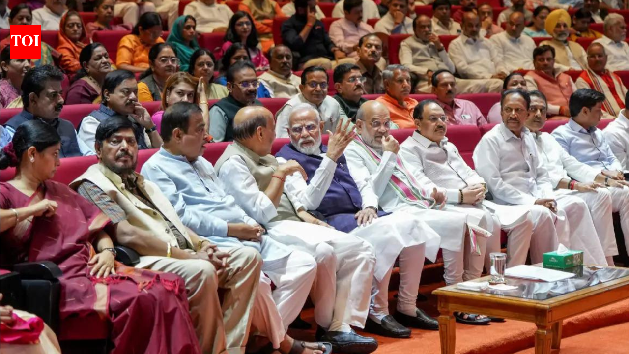 Our FTAs fair & equitable, protect farmers, MSMEs, labour sector: Govt to NDA MPs | India News
